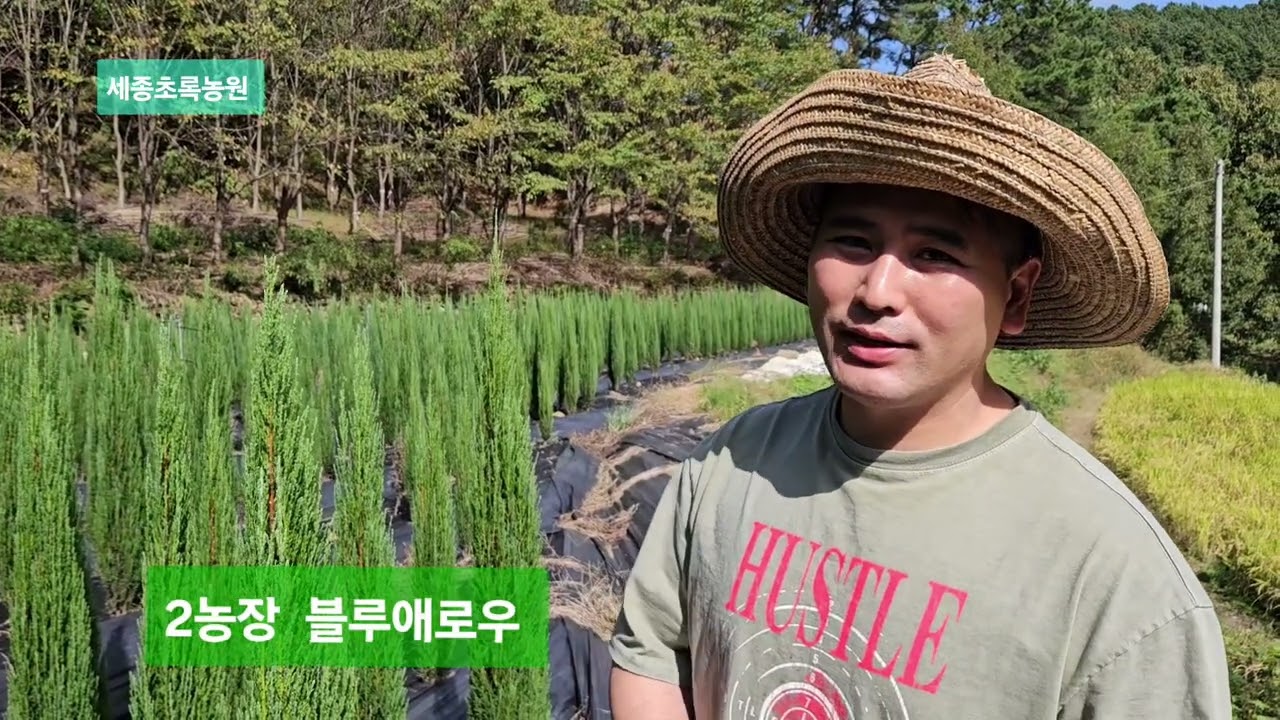 2농장 블루애로우 