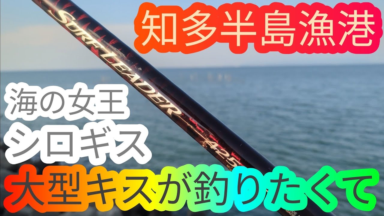 大型キスが釣りたくて…知多半島 知多湾 シロギス キス釣り 海釣り fishing 投げ釣り