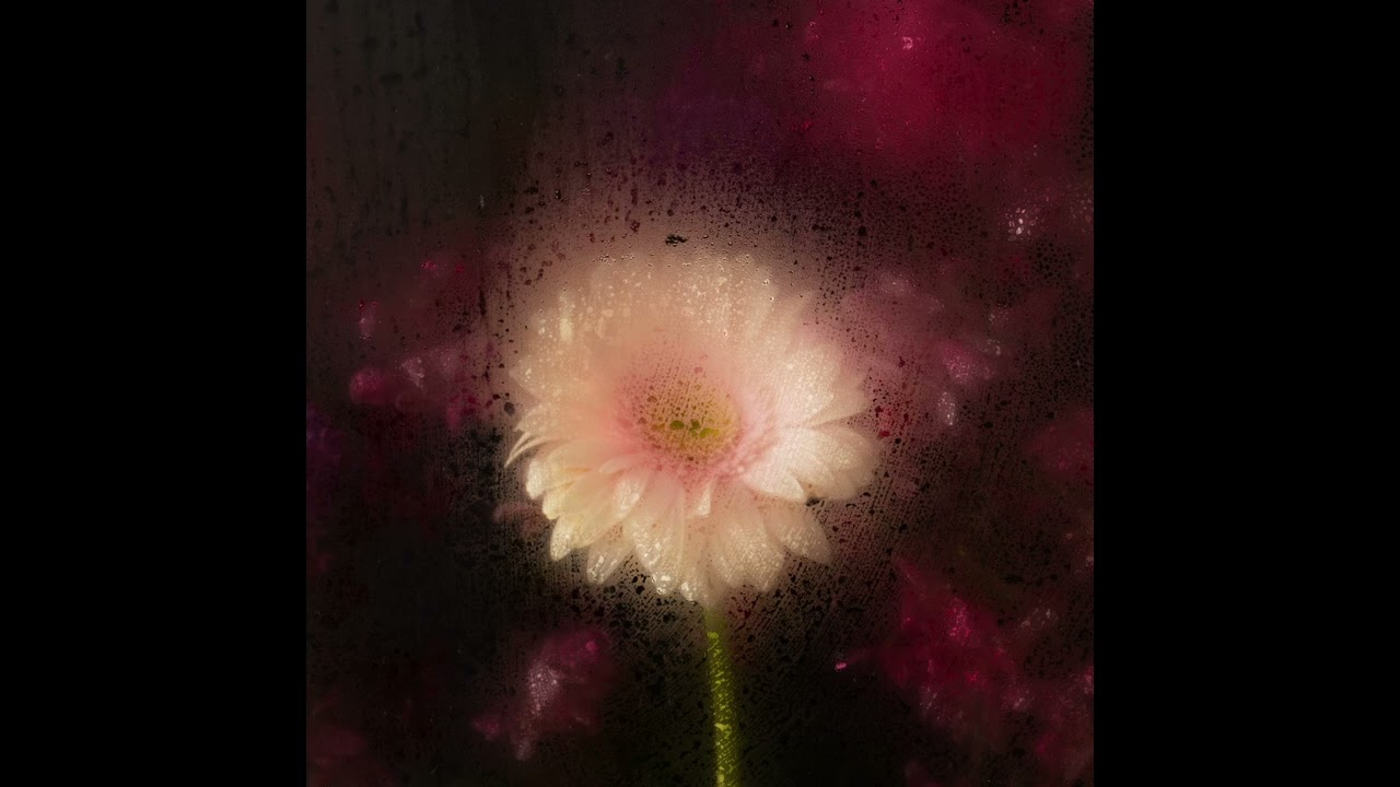 Evez - A Sudden Regression of Memory