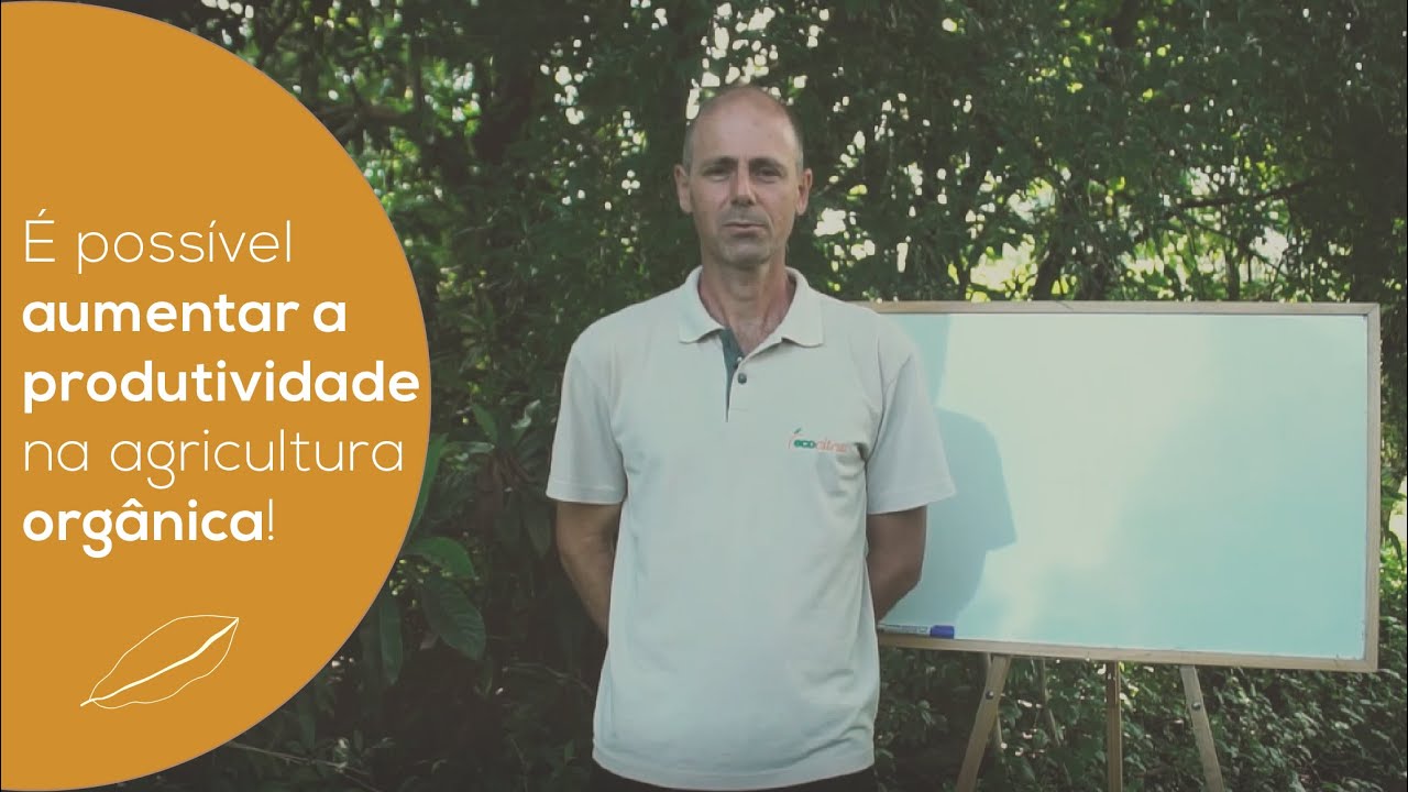 5 DICAS PARA AUMENTAR A PRODUTIVIDADE DO POMAR | ECOCITRUS