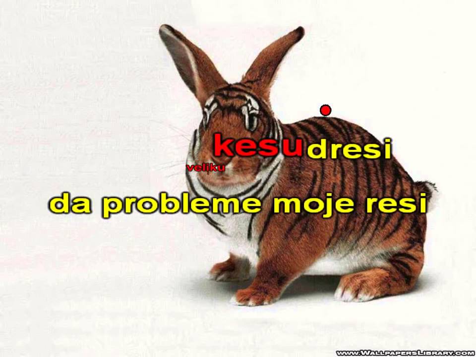 KARAOKE Lepa Brena   Hej Seki Seki