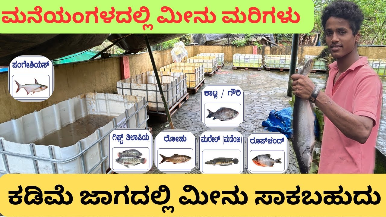 ಮನೆಯಂಗಳದಲ್ಲಿ ಹಲವು ಬಗೆಯ ಮೀನಿನ ಕೃಷಿ | ಪ್ರಗತಿಪರ ಮೀನು ಕೃಷಿಕ | Fish farming ideas 