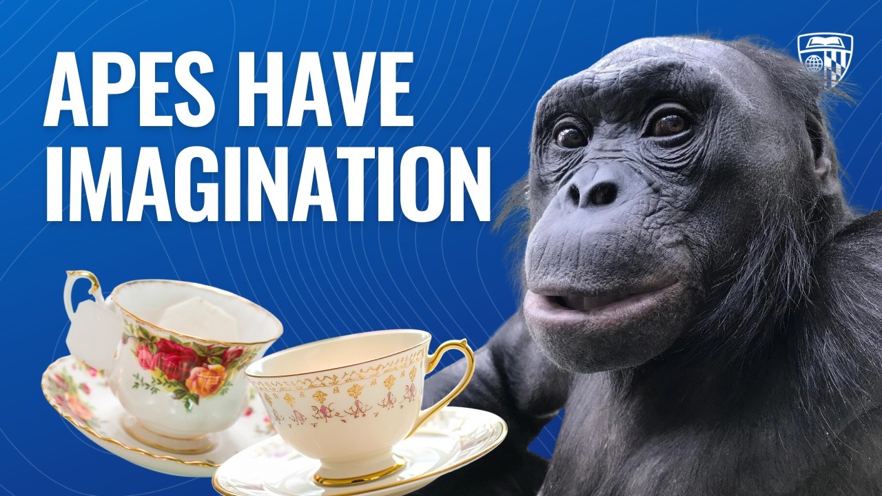 Apes Share Human Ability to Imagine