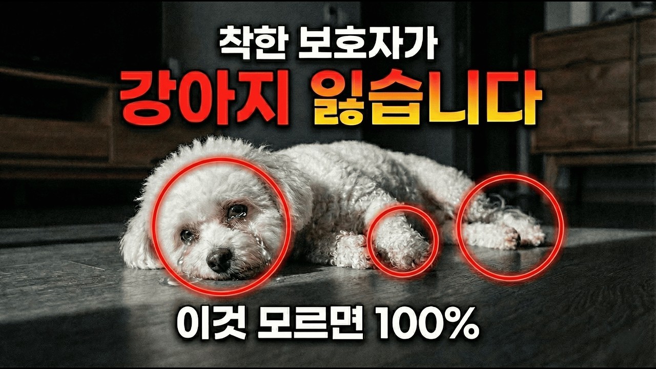 강아지가 아플 때 보내는 8가지 신호 | 보호자 90%가 놓치는 생명 신호, 24시간 안에 못 찾으면 위험합니다