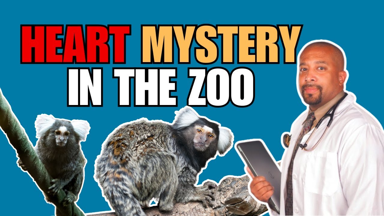 Strange Heart Mystery in a Baby Primate #petcareprovider #zooanimals
