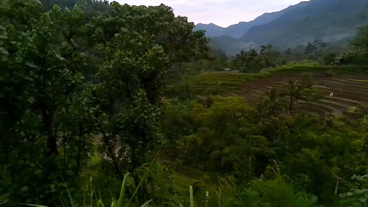 pagi hari desa tundagan
