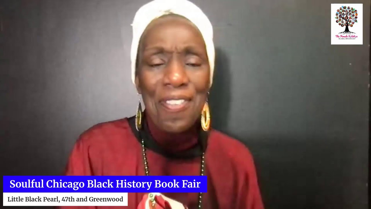 Special Event - The Soulful Chicago Black History Book Fair!