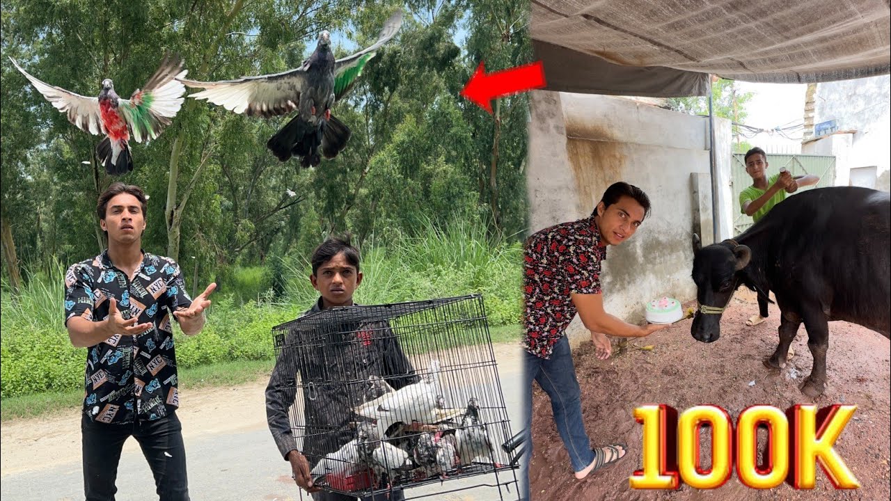 100K Par Kabooter Azad Kr Daya 🫢