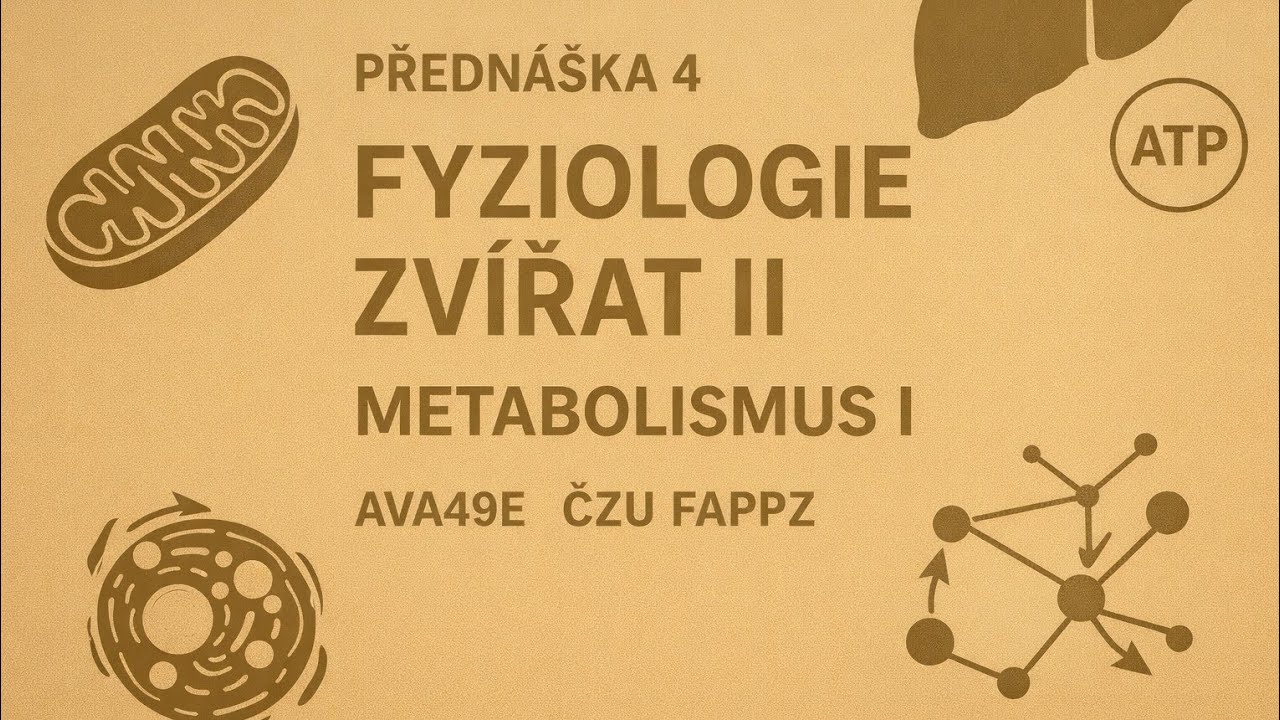 | Přednáška 4 | Fyziologie zvířat II - Metabolismus I 