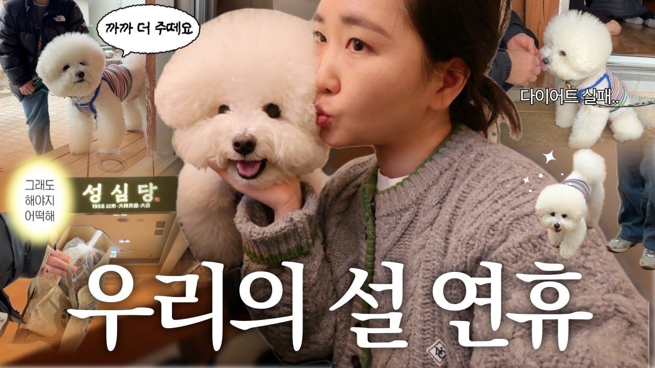 Vlog 평온을 가장한 분주함 우리의 설 연휴, 강아지 다이어트 실패, 역대급 성심당