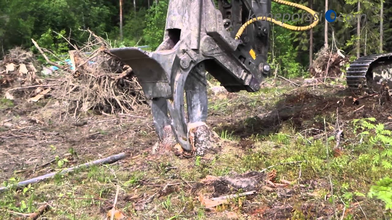 Enemmän energiaa metsäpolttoaineesta