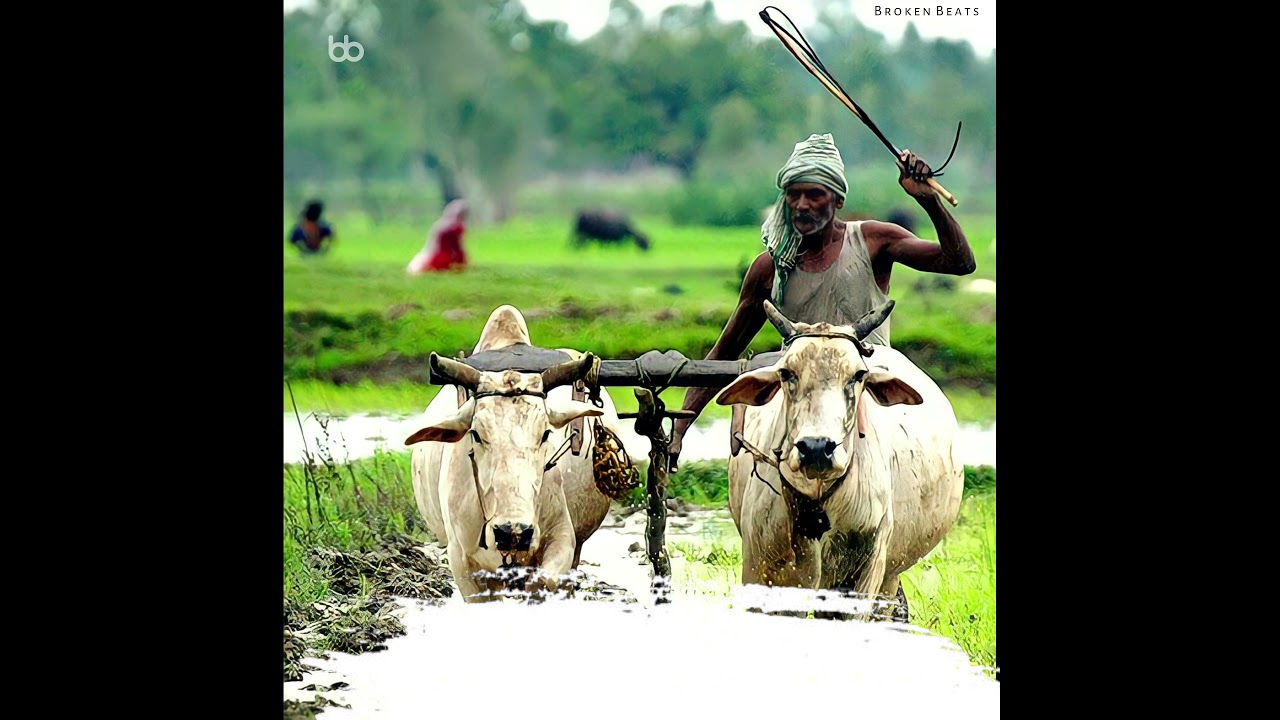 Saluting Real Hero🙏Farmers whatsapp status|