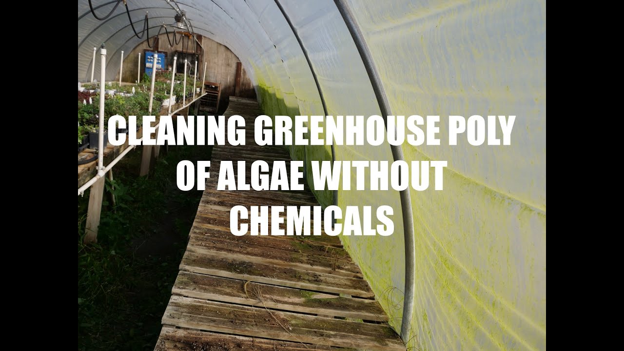 Cleaning Greenhouse Poly WITHOUT Chemicals