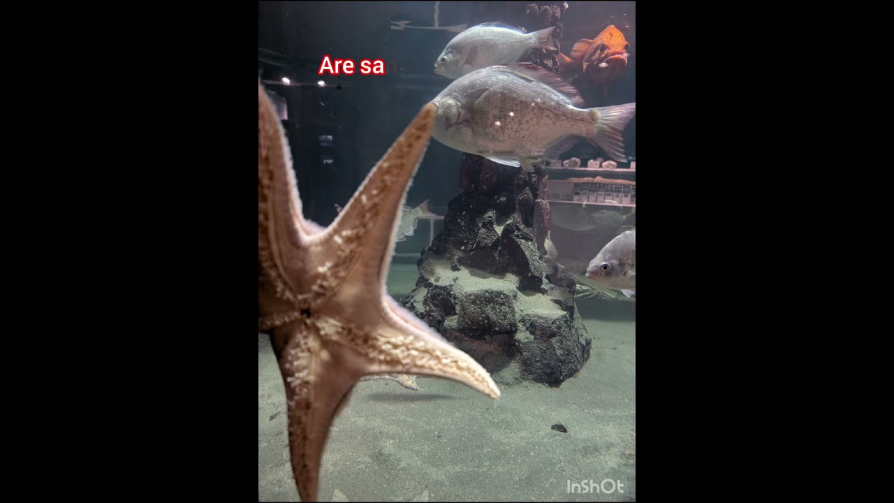 Visit Seaside Aquarium any time of the year!