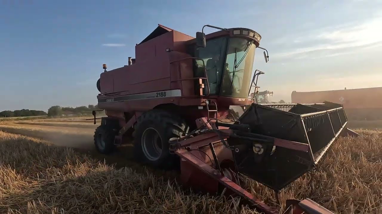 BEST SOUND! CASE AxialFlow 2188 cutting winter barley