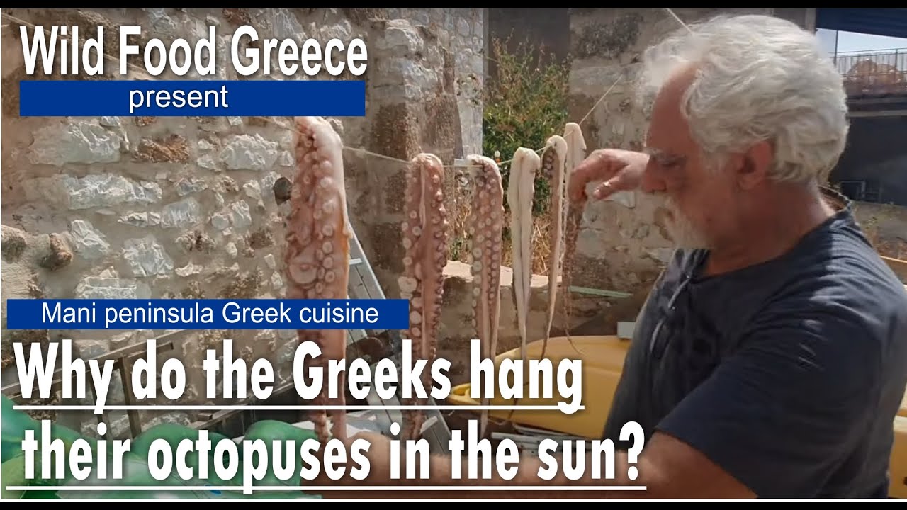 Why do the Greeks hang their octopuses in the sun? Mani peninsula Greek  cuisine