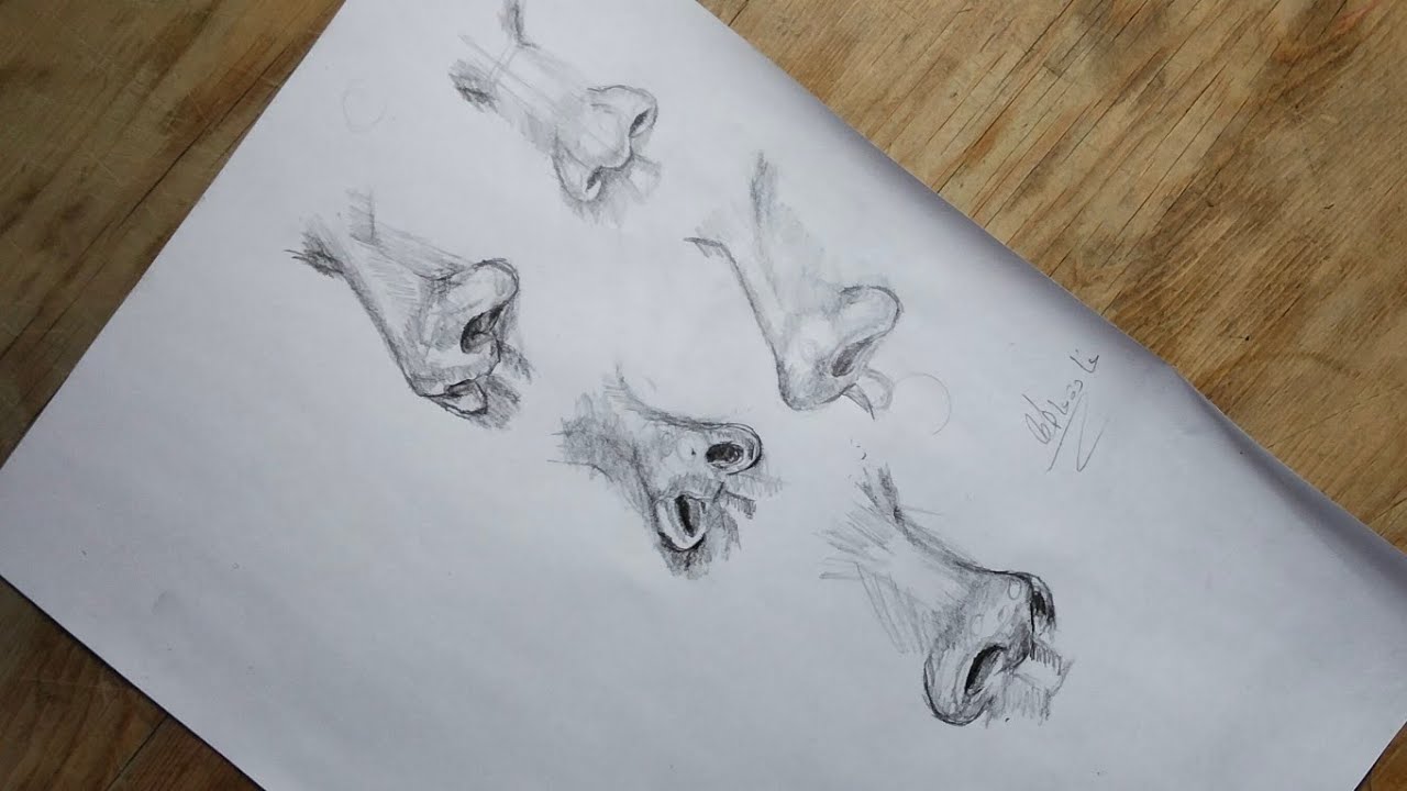 تعليم رسم الأنف من زوايا مختلفة | خطوة بخطوة للمبتدئين.