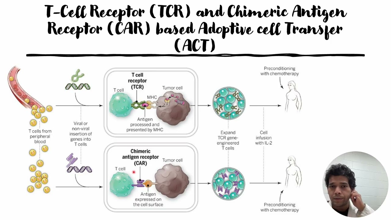 T-Cell Receptor(TCR) & Chimeric Antigen Receptor(CAR) based Immunotherapy against cancer 