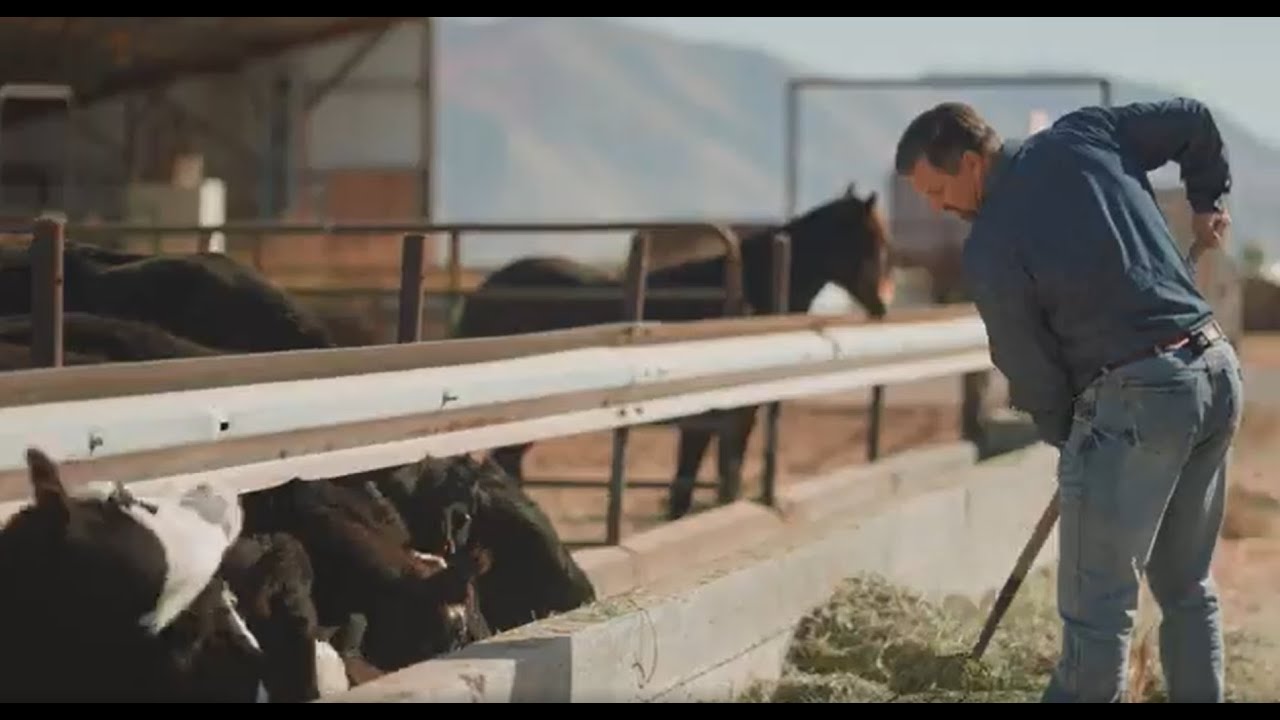Roots & Returns: The Farm-Grown Philosophy Behind PEG’s Ascent