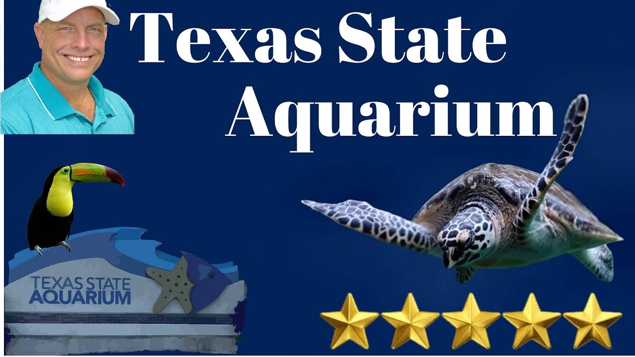 Texas State Aquarium IS IT WORTH IT? 🤔 - CLICK TO FIND OUT