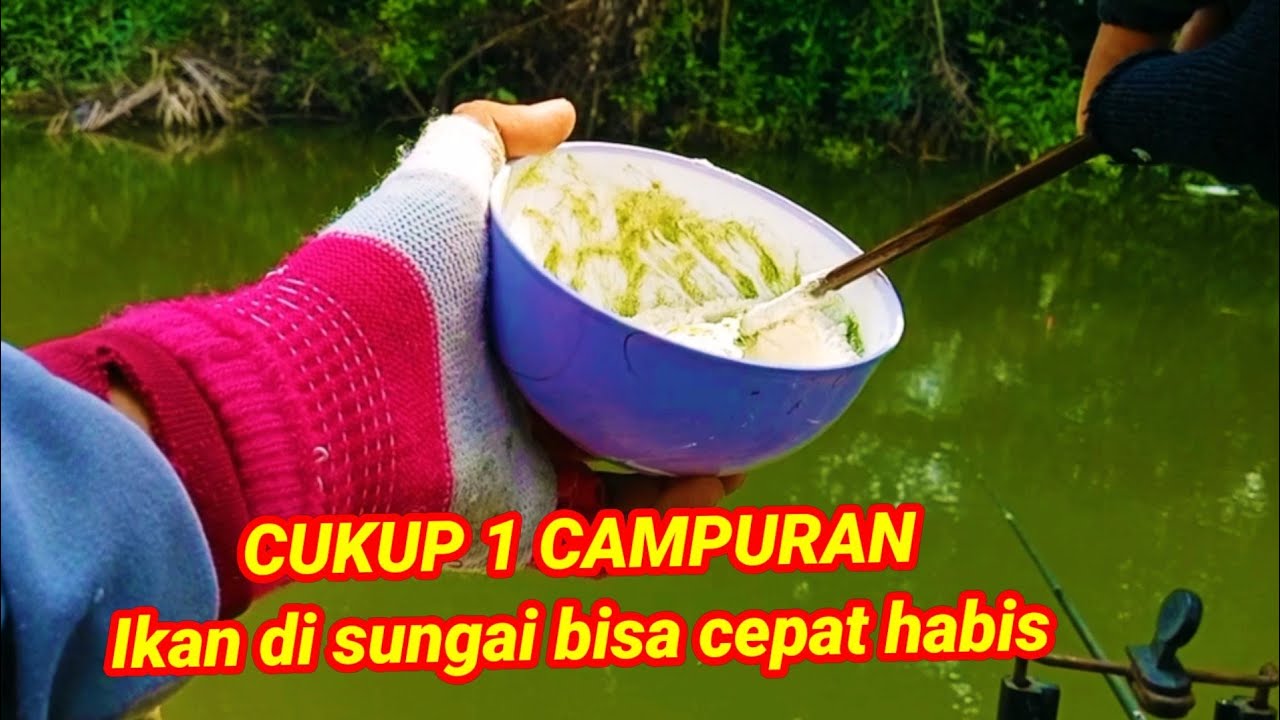CUKUP 1 CAMPURAN, AMPUHNYA GAK ADA OBAT || mancing mujair nila air payau