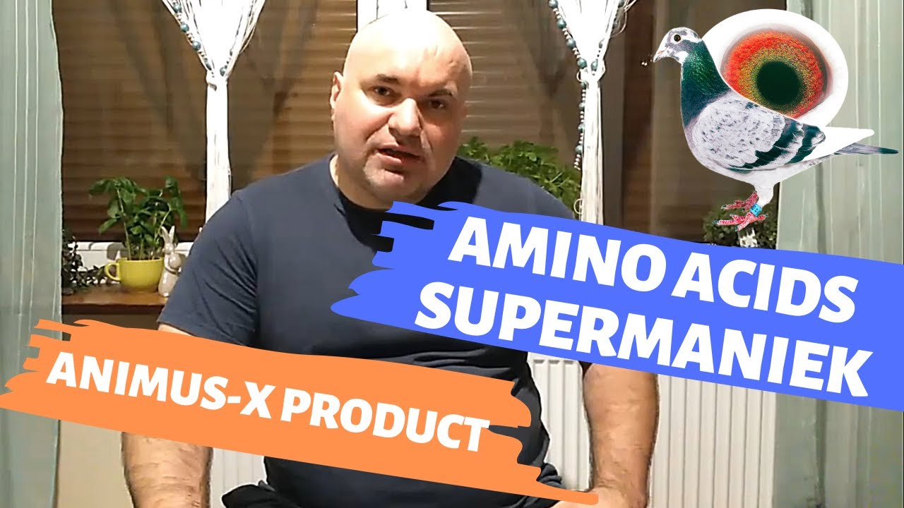 Amino acids for pigeons - SuperManiek | Animus-X Pigeon