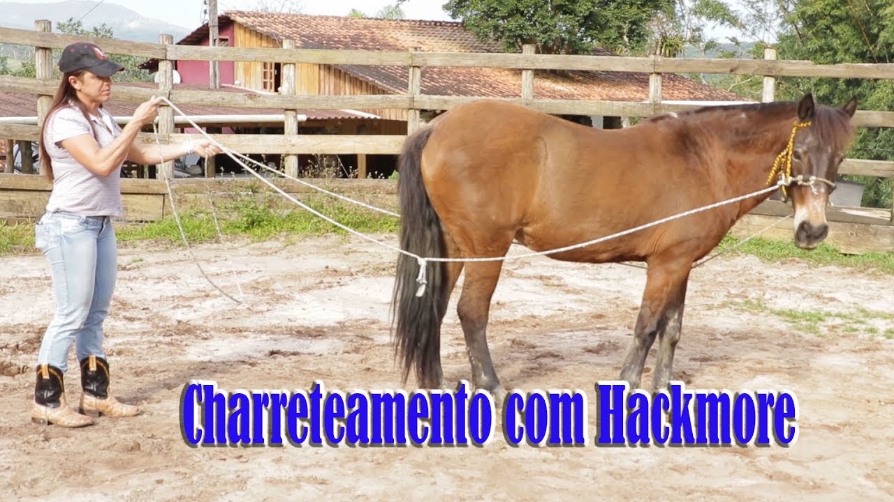 Charreteamento com Hackmore
