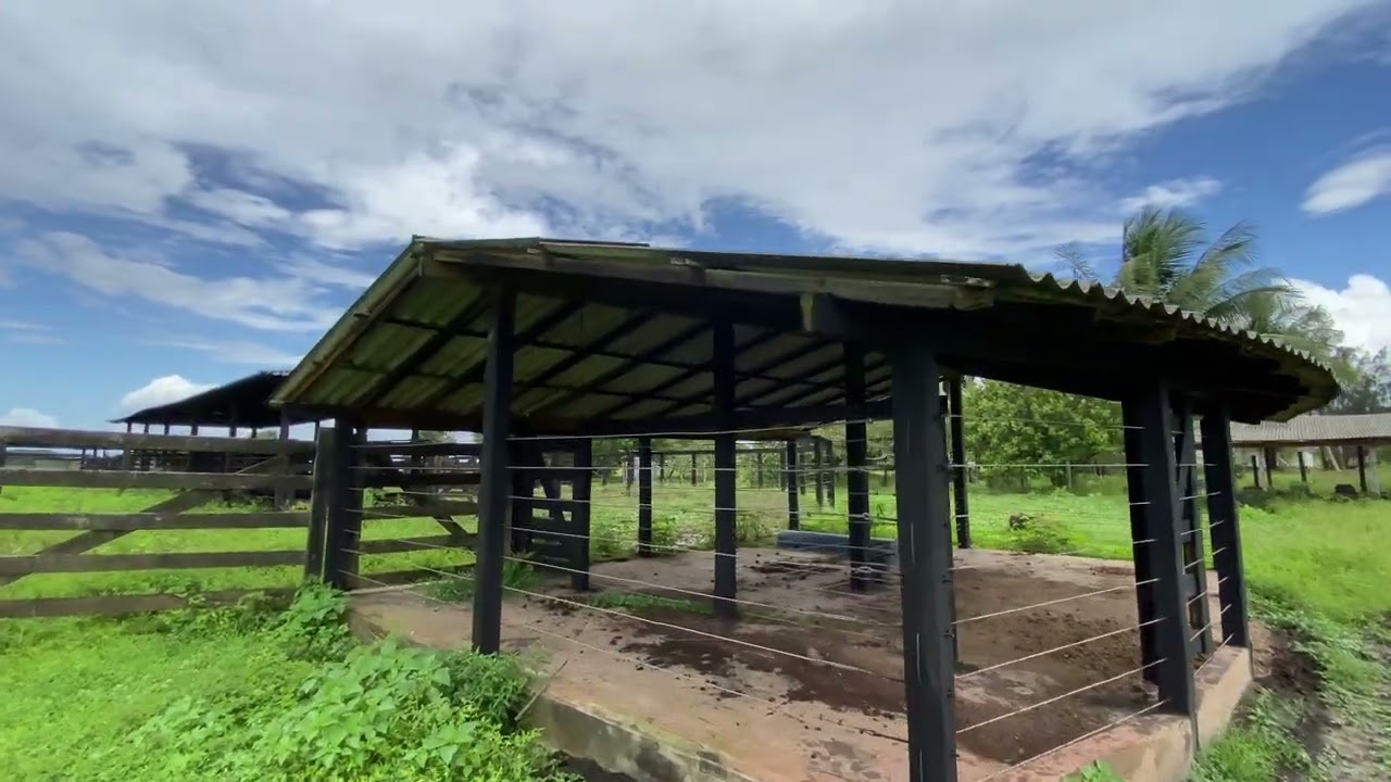 FAZENDA BARATA 51,7 ALQ AQUI MARANHÃO