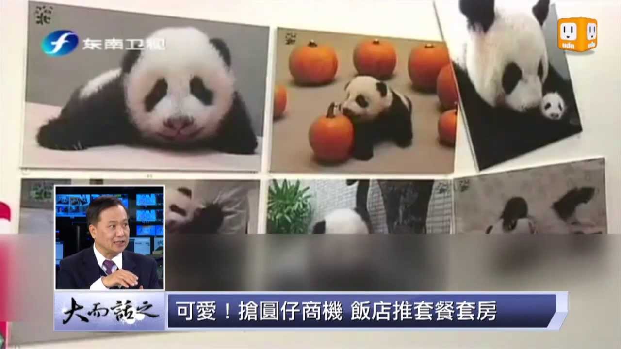 udntv 《大而話之》貓熊熱席捲全球 周邊商品吸金