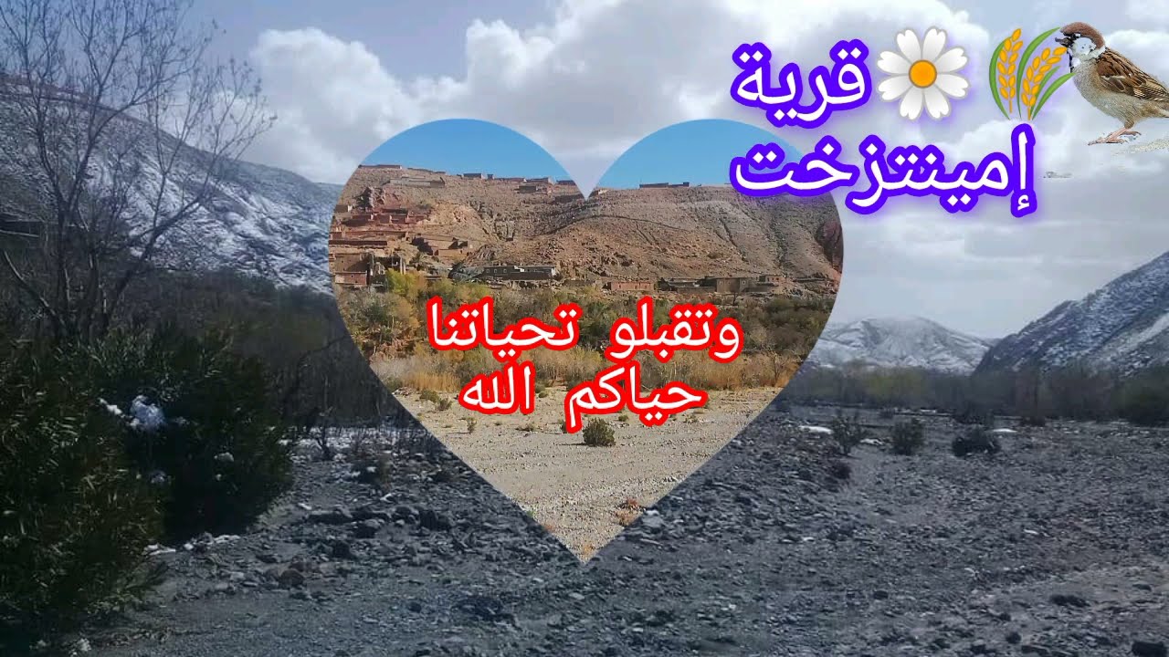 الطريقة الصحيحة لزراعة البصل في القرى..#إمينتزخت_جماعة_امينولاون