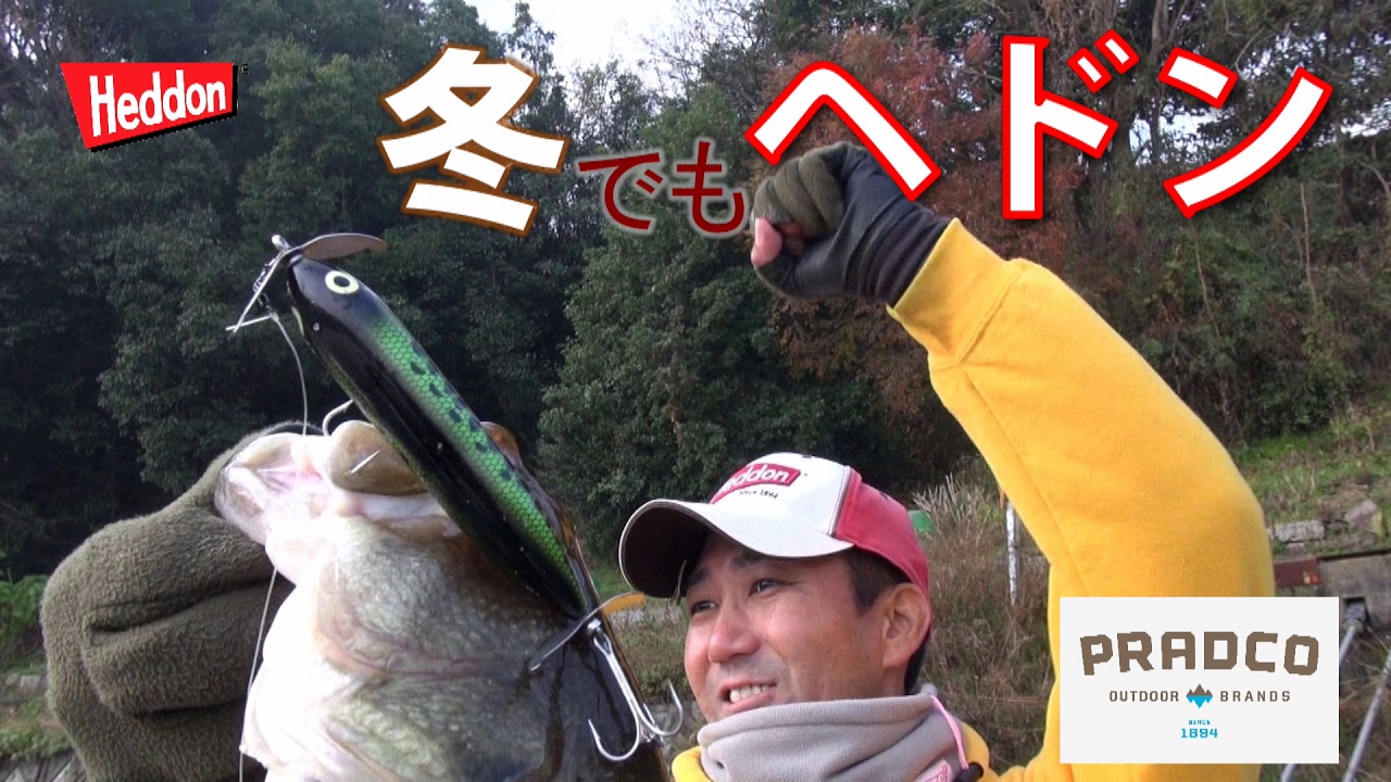 【冬でもトップウォーター！】バス釣りで奇跡の1本｜ヘドン（Heddon）ウンデッド・ザラ スプーク（WOUNDED ZARA SPOOK）＆ソナー（SONAR）｜プラドコTV