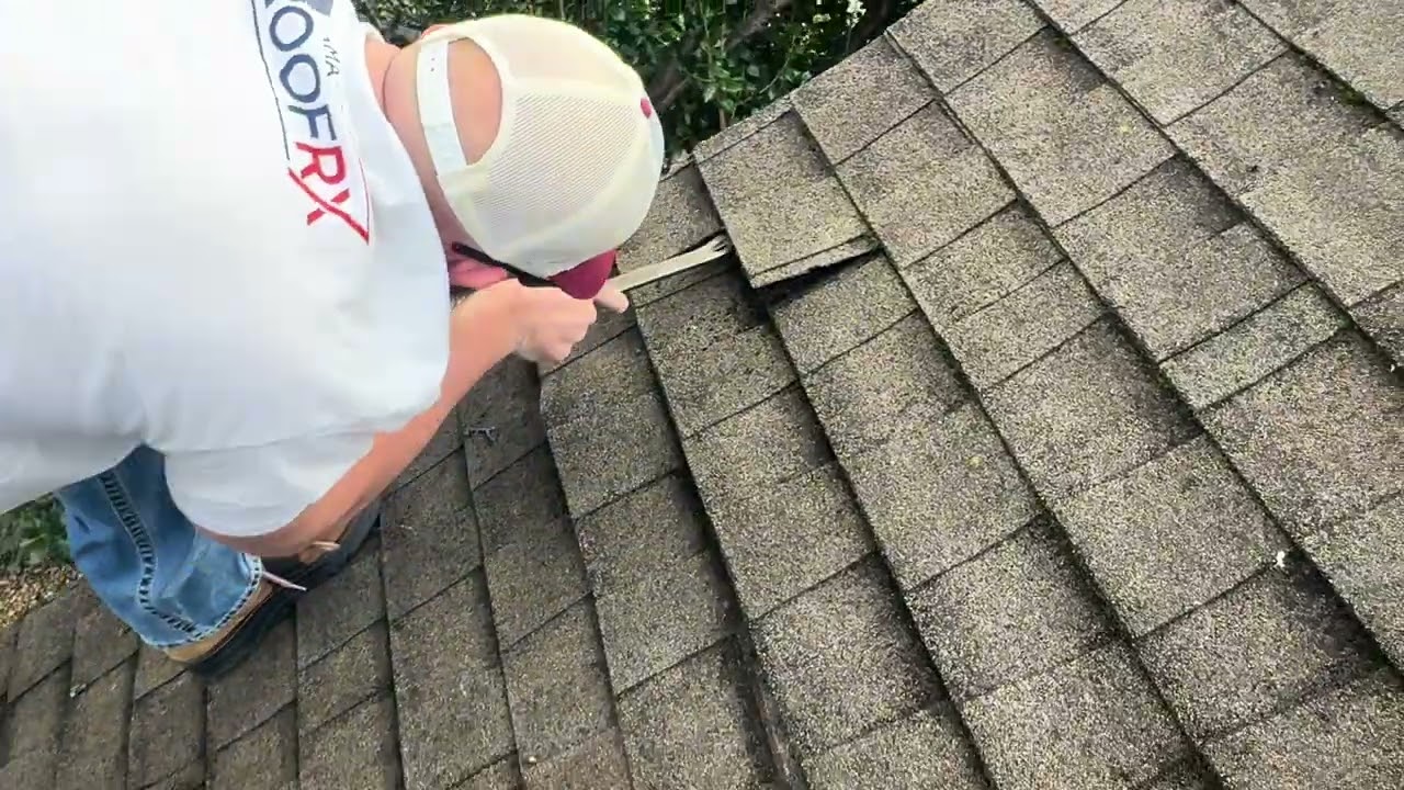 Attempt to Repair — Anderson 