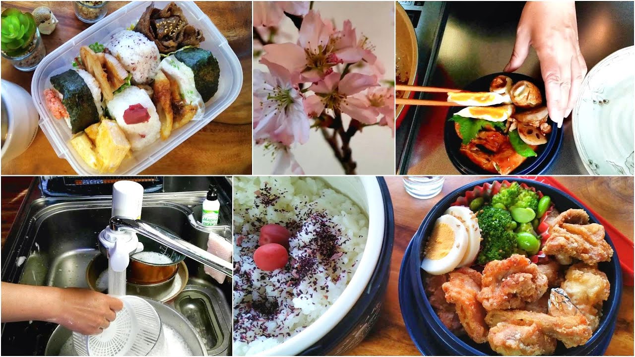 【Spring Bento】Woke up at 5 a.m. to make lunch box for my high school son /one week