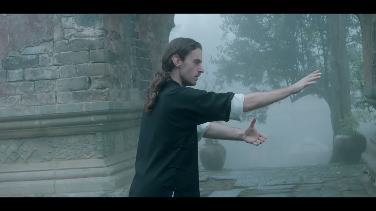 Wudang Taiji 28 l 武当太极二十八式