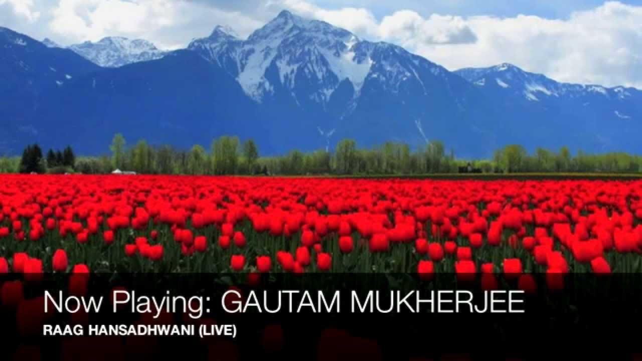 Raag Hansadhwani GAUTAM MUKHERJEE (Live)