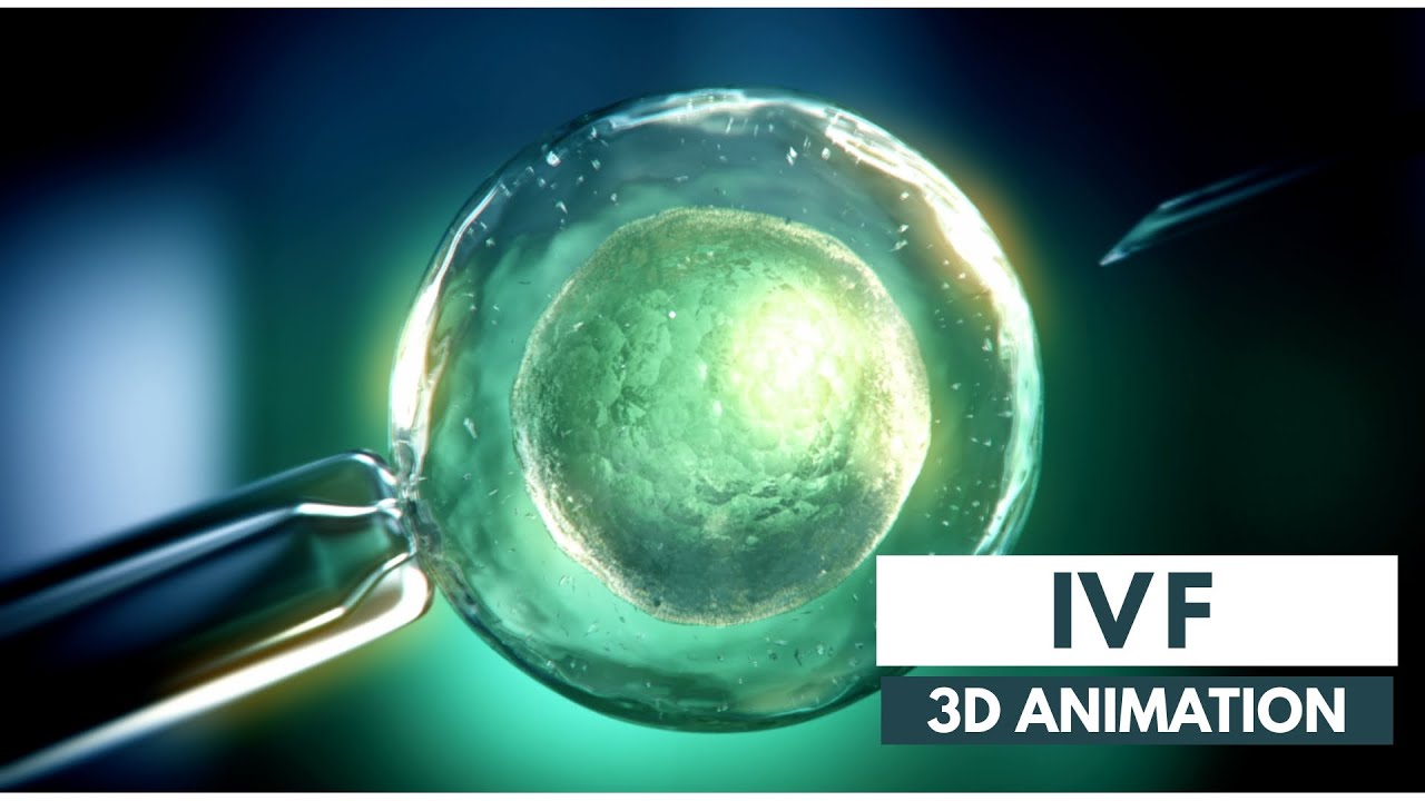 Как работает ЭКО | 3D-анимация