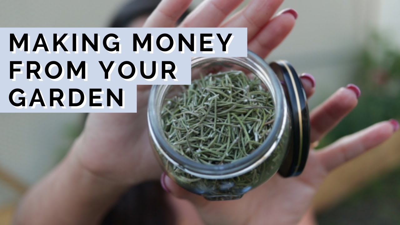 Ways I Make MONEY From My Garden | 16 Creative Ways to Make Money Gardening
