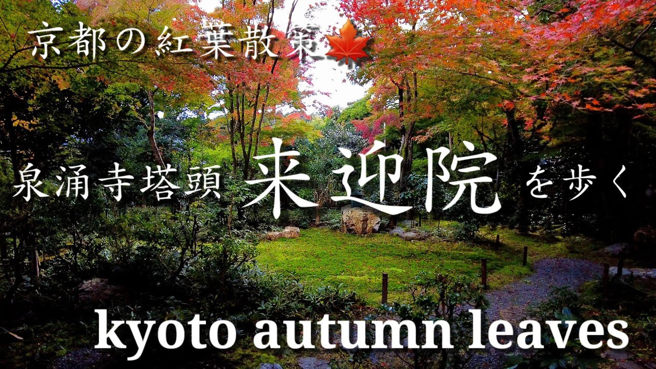 京都の紅葉散策🍁美しい小さな庭 来迎院を歩く【4K】Kyoto Japan Walk !