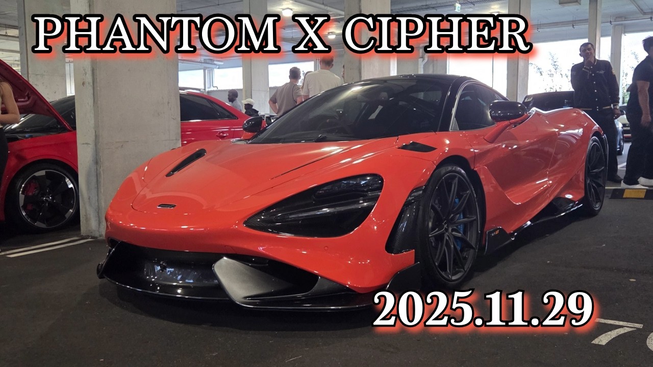 시드니에 댕지리는 차 모임은 첨본다!!!!