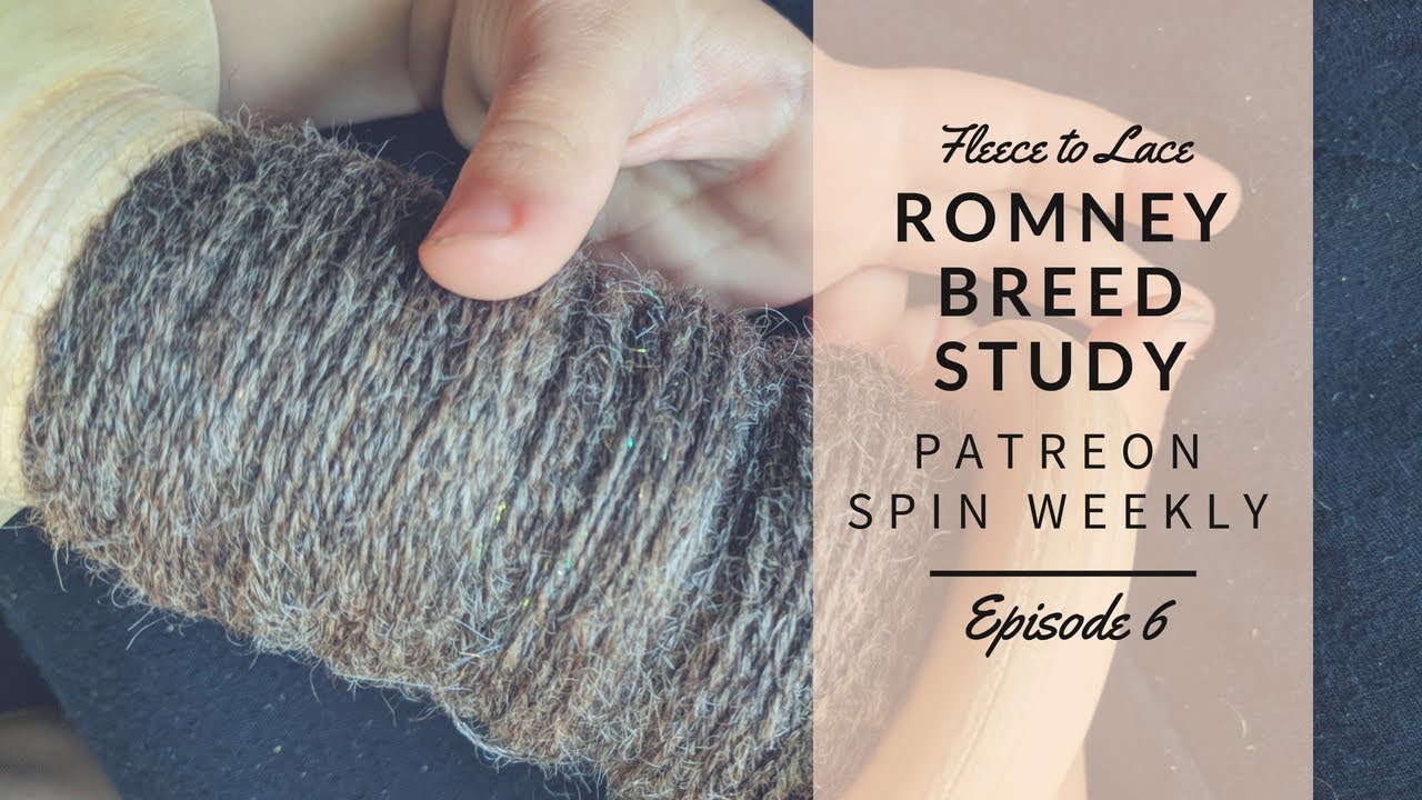 Romney Breed Study & Lace Weight Spin