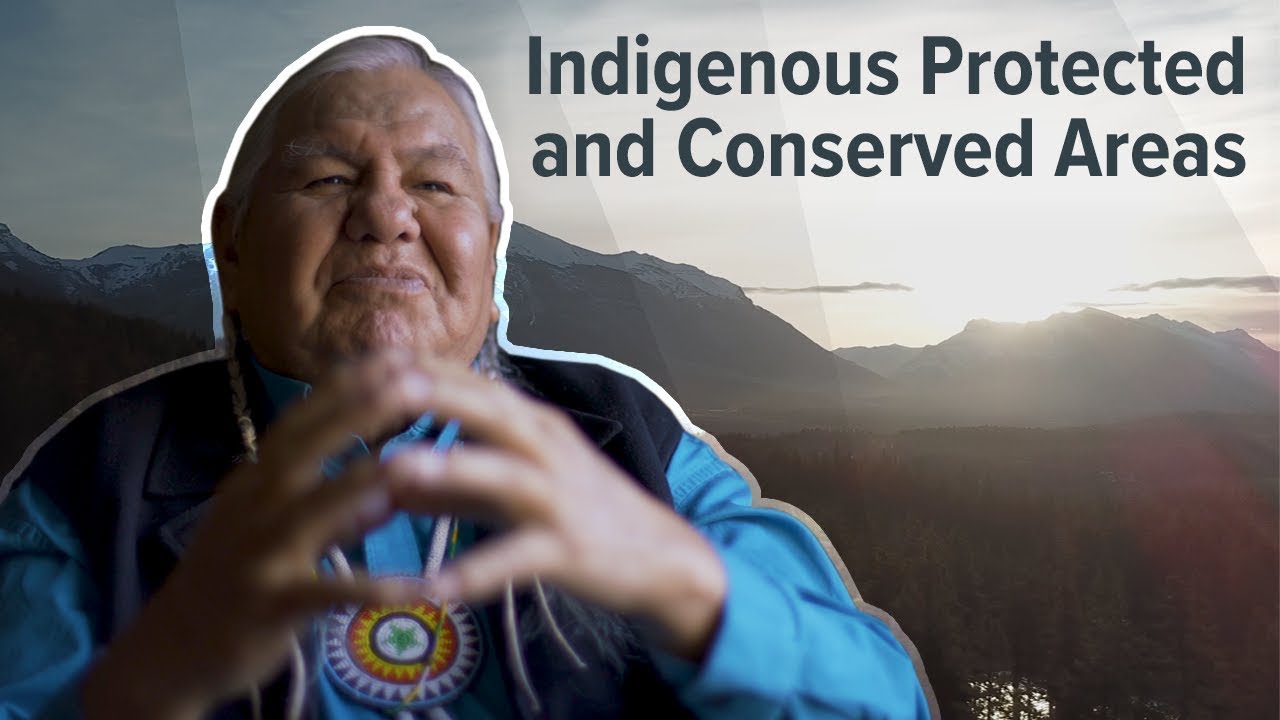 Indigenous Protected and Conserved Areas Gathering, October 2018