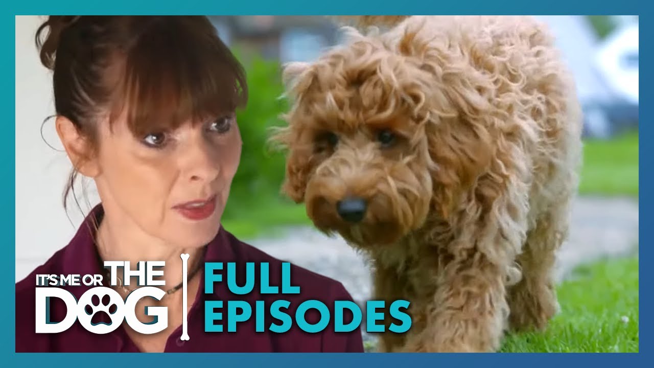 Victoria Rehabilitates Biting Puppy Shelby! | Full Episode | S1E1 | It's Me or the Dog UK (2021)