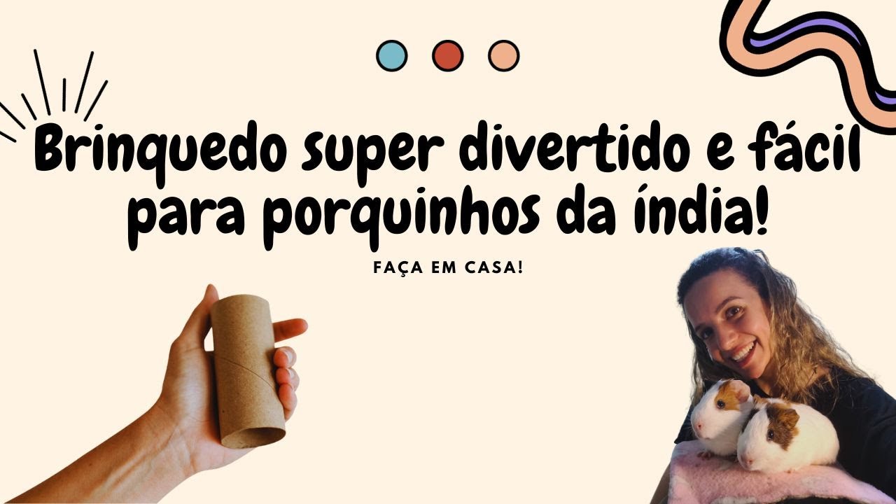 BRINQUEDO SUPER FÁCIL PARA PORQUINHOS DA ÍNDIA | TUTORIAL | DIY ✨✨✨