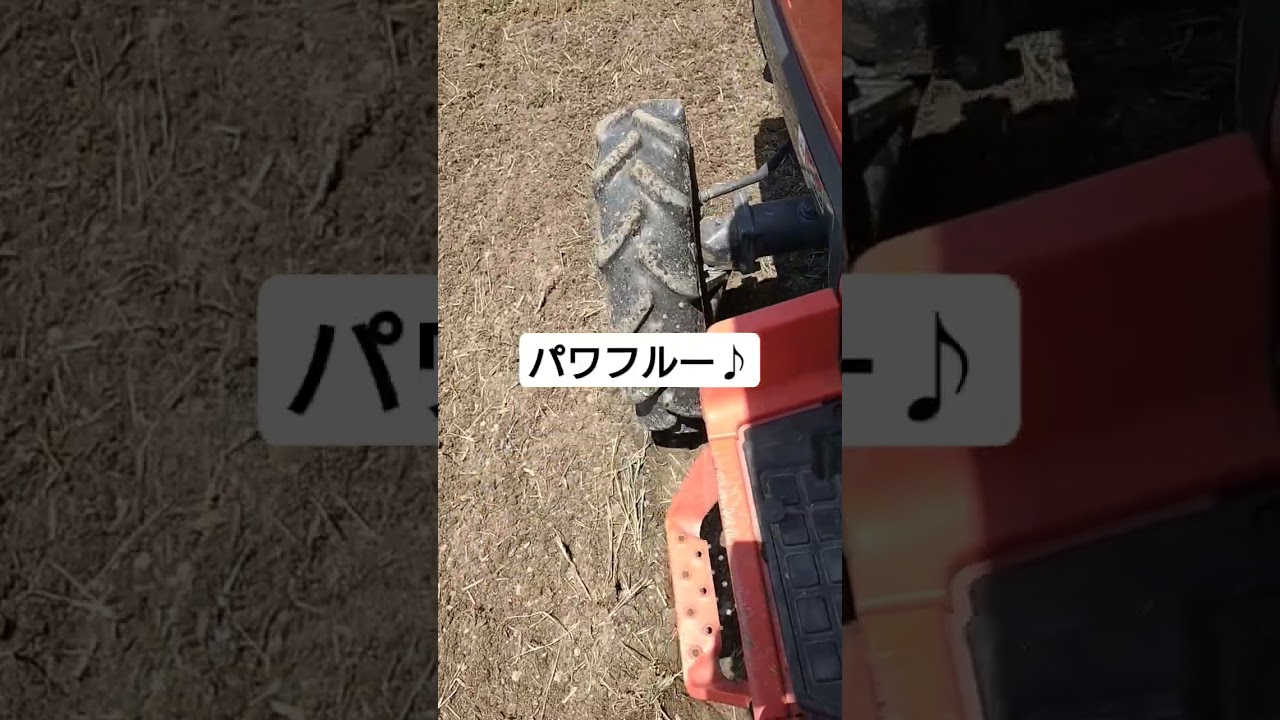 機械獣の咆哮を聴け#稲作#田んぼ#トラクター#機械#文明の利器#米作ろ‪♡