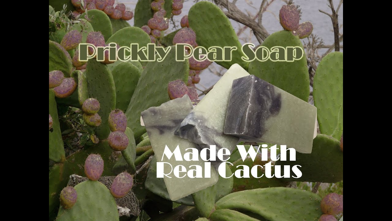 Prickly Pear Cactus Cold Process Soap