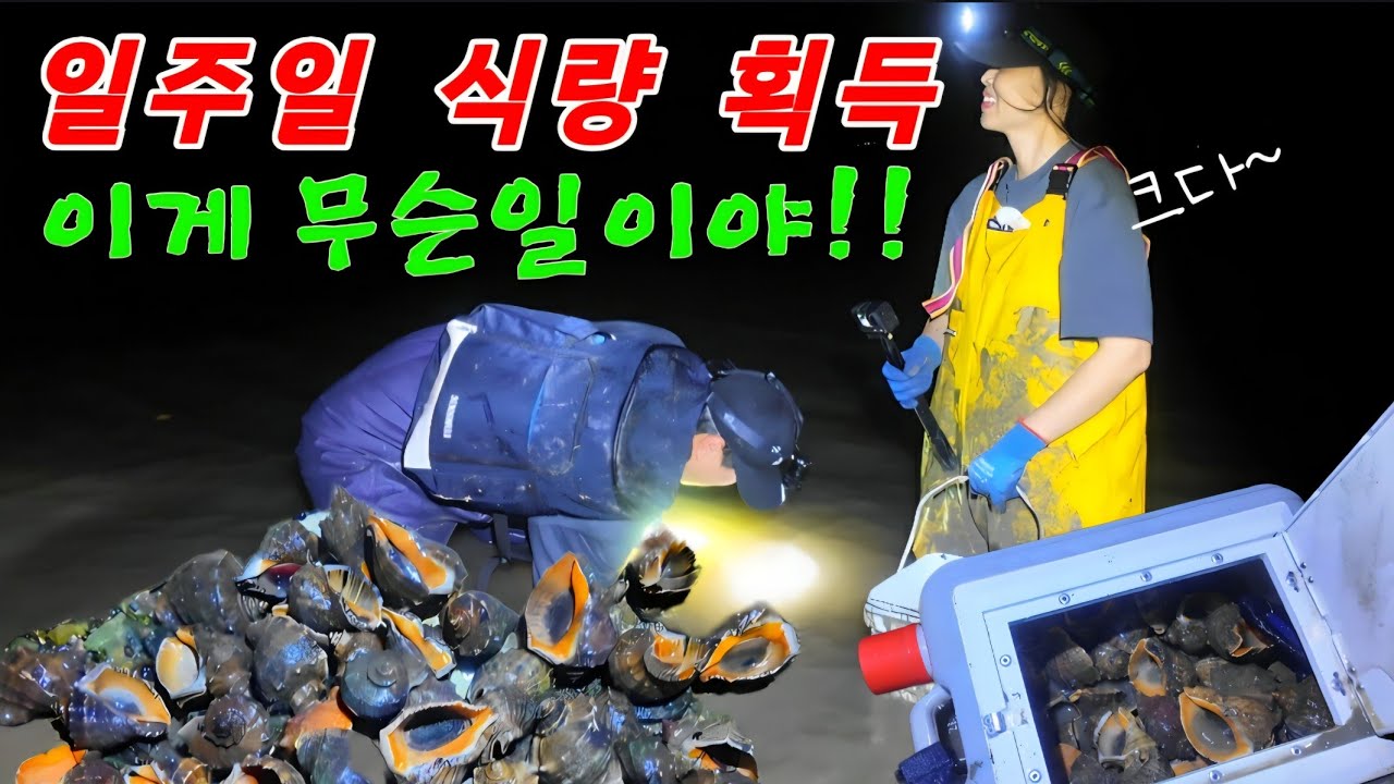 천둥번개 치는날 황금밭에서 어마어마하게 담았다