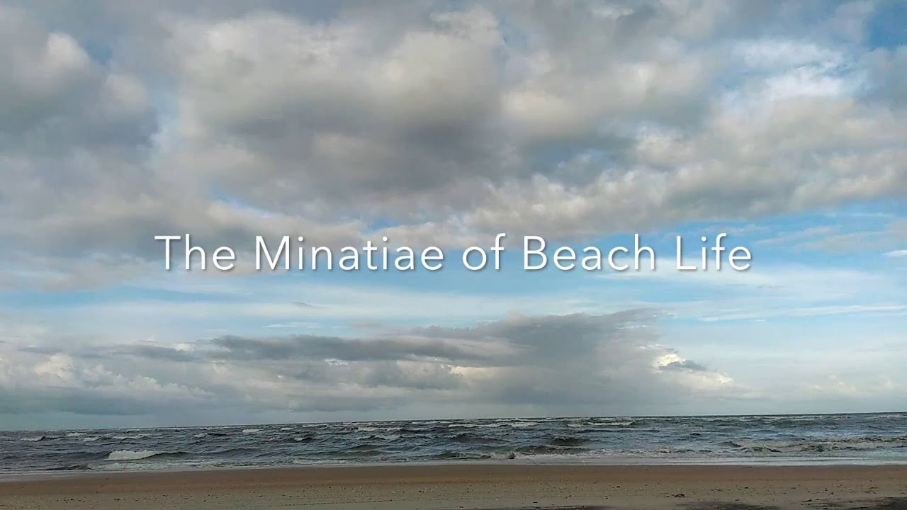 An Ephemeral Paradise | The Mind