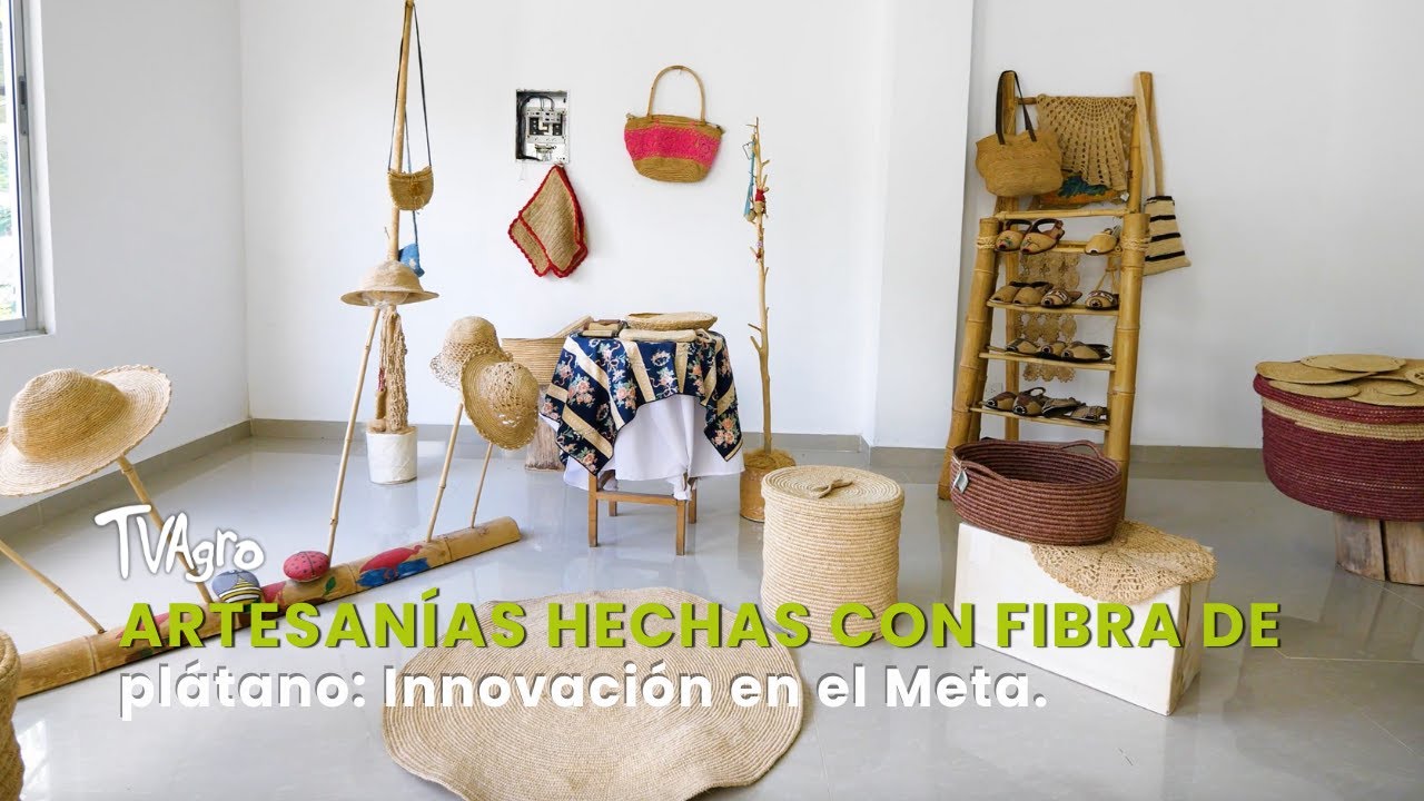 Artesanías hechas con fibra de plátano: Innovación en el Meta - TvAgro por Juan Gonzalo Angel