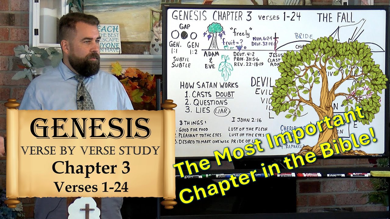 Genesis 3:1 to 24 THE FALL OF MAN #sin #origins #fallofman #satan #treeoflife #bloodofjesus