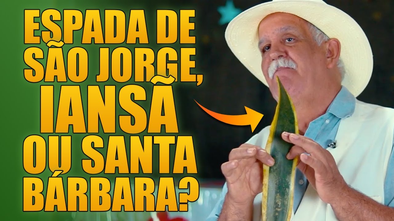 ESPADA DE SÃO JORGE, ESPADA DE IANSÃ OU ESPADA DE SANTA BÁRBARA: TODAS AS DÚVIDAS RESPONDIDAS